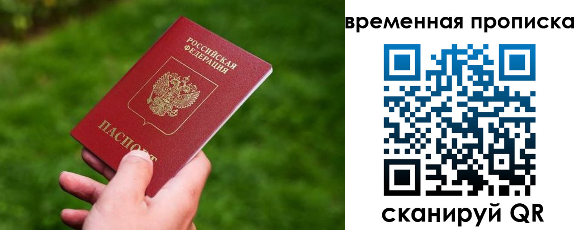 прописка ребенка в Санкт-Петербурге